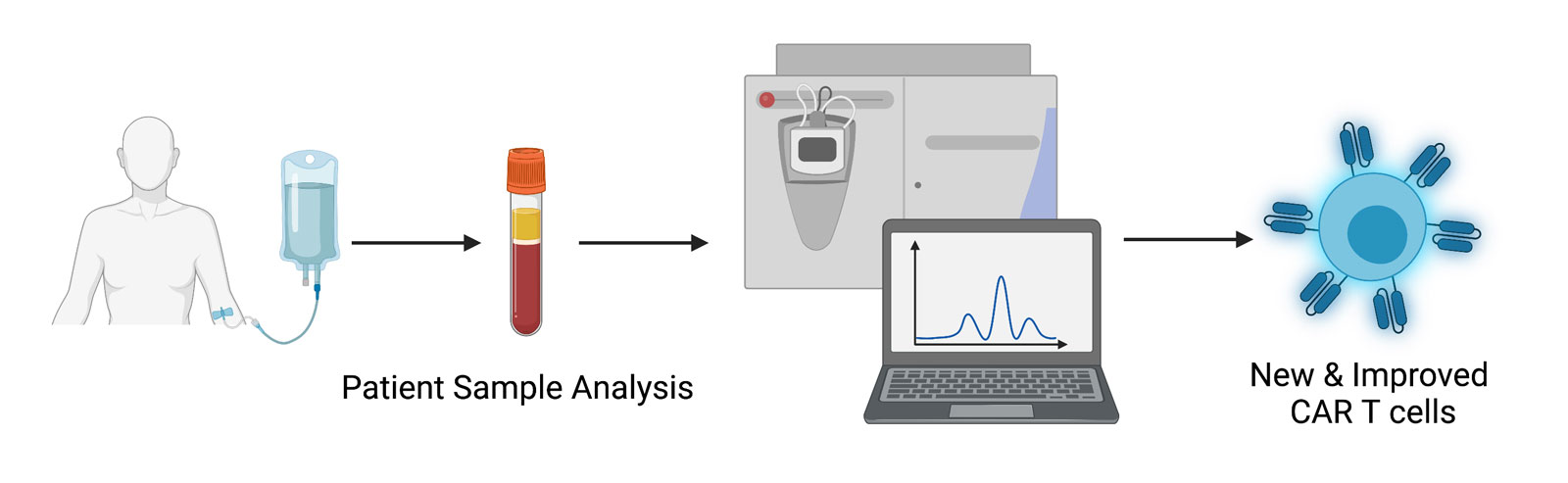 Mius Lab Maus Lab Research - Maus Lab